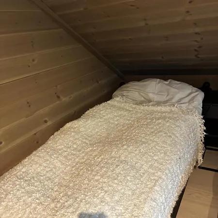 Πανσιόν Rom Med Eget Bad Til Leie Felles Inngang Uten Kjokken Og Stue Kun Tjorhom
