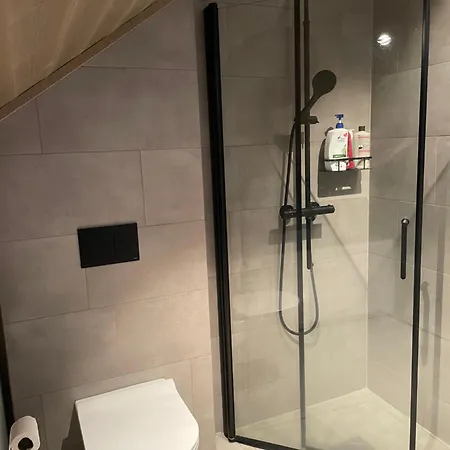 Rom Med Eget Bad Til Leie Felles Inngang Uten Kjokken Og Stue Kun 3* Tjorhom