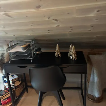 Πανσιόν Rom Med Eget Bad Til Leie Felles Inngang Uten Kjokken Og Stue Kun