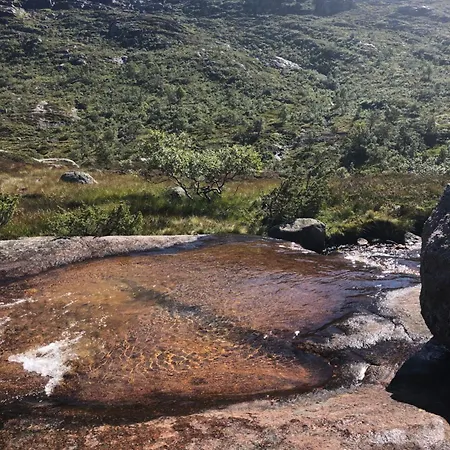 Rom Med Eget Bad Til Leie Felles Inngang Uten Kjokken Og Stue Kun Πανσιόν Tjorhom